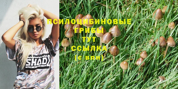 apvp Волосово
