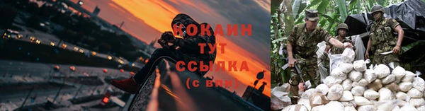 стаф Волоколамск