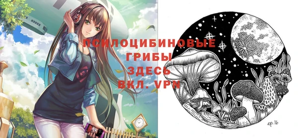 винт Струнино