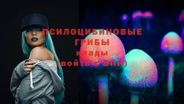 apvp Волосово